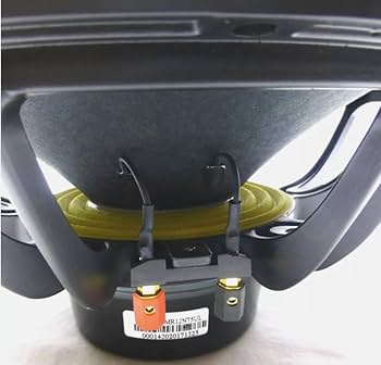 ベース NeotenicSound BassFlavor hq720.jpg?sqp=-