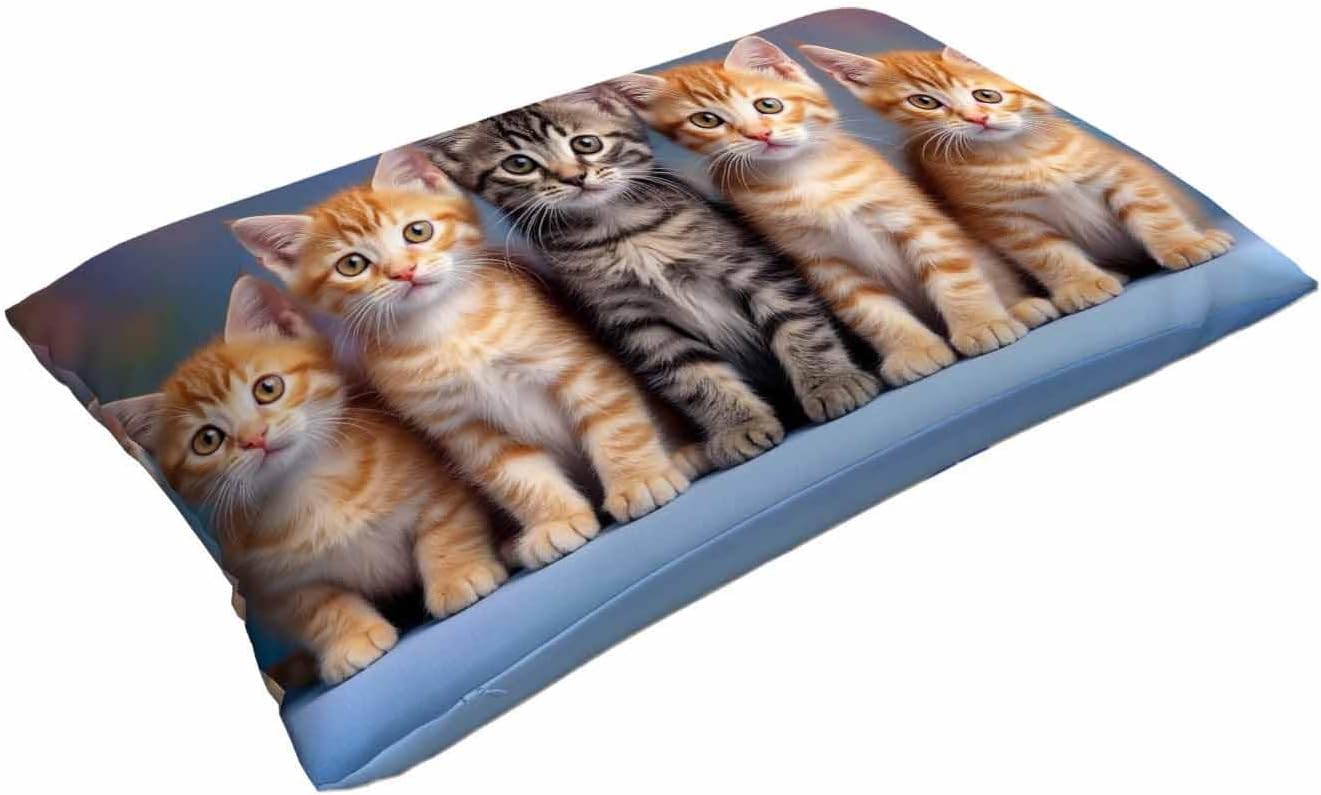 Mugod Cushion Cover Cute Kitten Cat,Pillow Case for Bed Couch Sofa Office Decor 20x30 Inches image 3