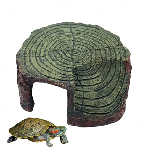 qingshenyi ঒ VF^[ T̕ B  JVF^[ ޗpia{Ȇgݍ킹 (ȊۂT̓A G66A)