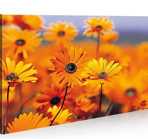 Cuadros Decorativos Salon Moderno Flores Marca islandburner