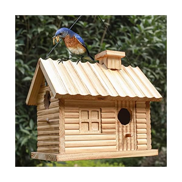 Bird Houses Outside,Outdoor Bird House, Natural Wooden Bird Hut Clearance 2 Hole Bluebird Finch Cardinals Hanging Birdhouse for Garden Viewing