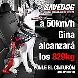 PONSA SAVEDOG. Sicherheitsgurt für Hunde. Der sicherste Gurt auf dem Markt. Traglast 1.000KG. Erfüllt die Anforderungen ISO 27955:2010. Ref.027172050102