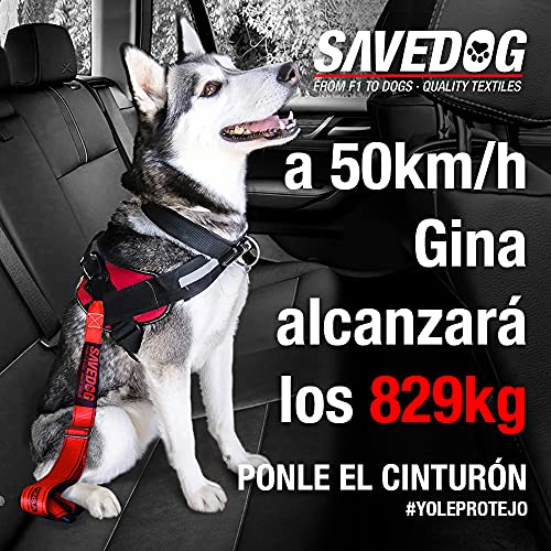 PONSA SAVEDOG. Sicherheitsgurt für Hunde. Der sicherste Gurt auf dem Markt. Traglast 1.000KG. Erfüllt die Anforderungen ISO 27955:2010. Ref.027172050102