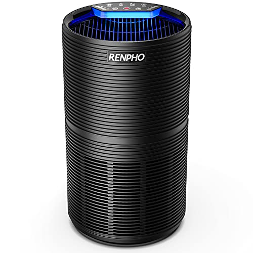 Product Image of the air purifier Black