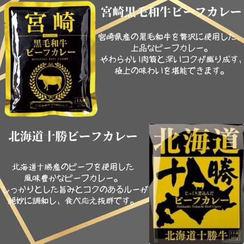 Sunnyrex レトルトご当地和牛カレー10種セット