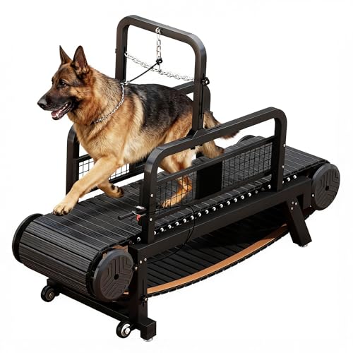BowWowTread Dog Treadmill