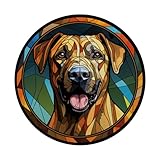 Zoom IMG-2 black mouth cur dog piombo Zoom IMG-2 black mouth cur dog piombo