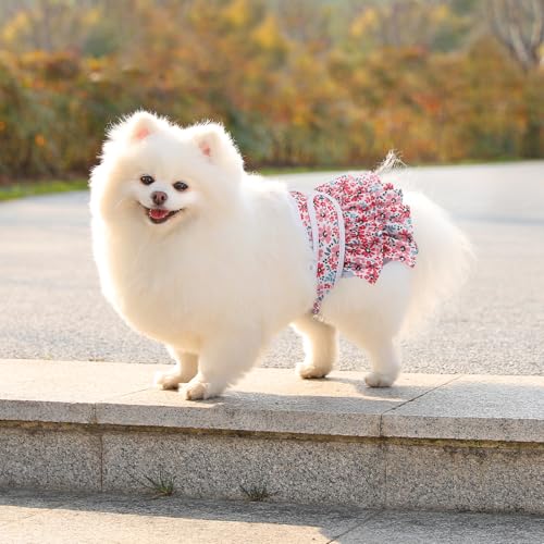 Image of Reusable Dog Diapers Female 3 Pack Doggie Diapers for Period Heat Incontinence Puppy Training (X-Small, RedFlower)