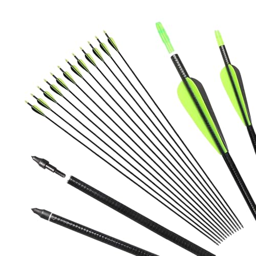 Luoyer 12 Pcs 31" Archery Arrows for Recurve & Compound Bows