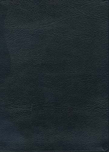 NASB MacArthur Study Bible 0529122553 Book Cover
