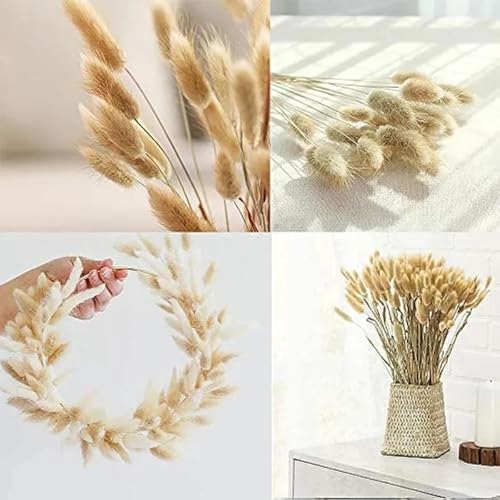 Pampas Grass Decor Tall 50Pcs 17.72 Inch Fluffy Bunny Rabbit Tail Grass miniatura 4