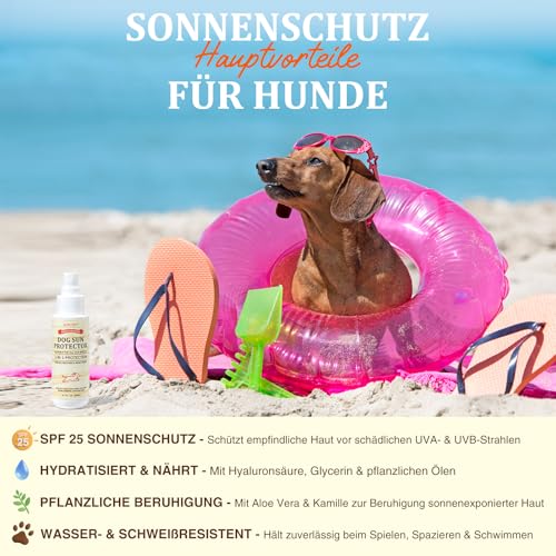 Hunde Sonnenschutz-Spray SPF 25 – Leichtes, Öl-basiertes UV-Schutzspray für empfindliche Haut | Beruhigende & Feuchtigkeitsspendende Formel mit Aloe, Ringelblume und Hafer | 80 ml​