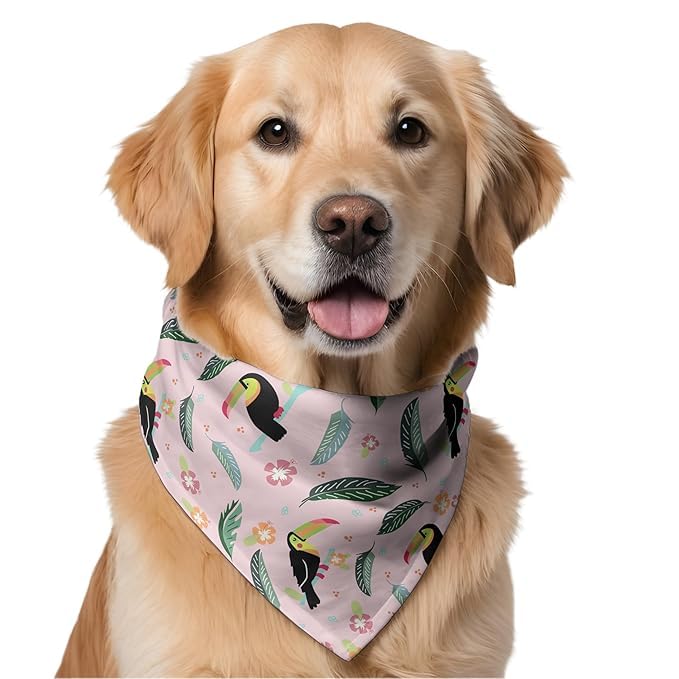 Bandana for Dogs (Set of 2) | Stunning Gorgeous Design Dog Bandana Scarf – Perfect Styling Accessory for Small, Medium, Large & XL Breeds. Made In India. (Medium & Large, Pink Toucan & Airplane)