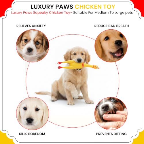Image of Hen Chicken Squeaky Dog Toy - Large Pack of 1