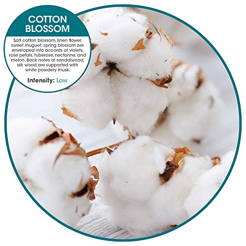 Fresh Products EA-F-006I036M-06 Eco-Air Refill, Air Freshener thumb #4
