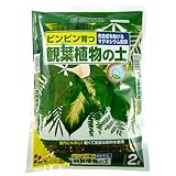 最安!花ごころ 観葉植物の土 マグネシウム配合 2L