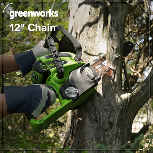Image of Greenworks 12 inch Chainsaw Chain, 3 /8 inch Pitch, 0.05 inch Gauge, 45 Drive Links, Genuine Greenworks Replacement Part