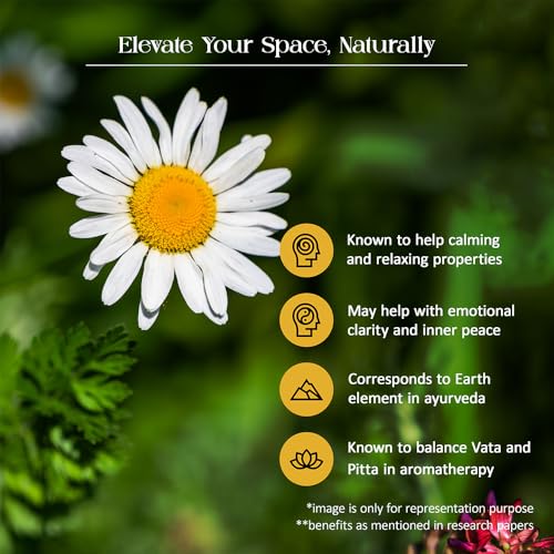Image of Chamomile Reed Diffuser Set by Tattvic Essence | 6 Fiber Reed Sticks Free | Stress Relief & Aromatherapy | Long-Lasting, Smoke-Free Air Freshener for Bedroom & Bathroom| Ideal for Gifting | 120ml