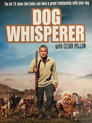 Dog Whisperer With Cesar Millan: Season 1