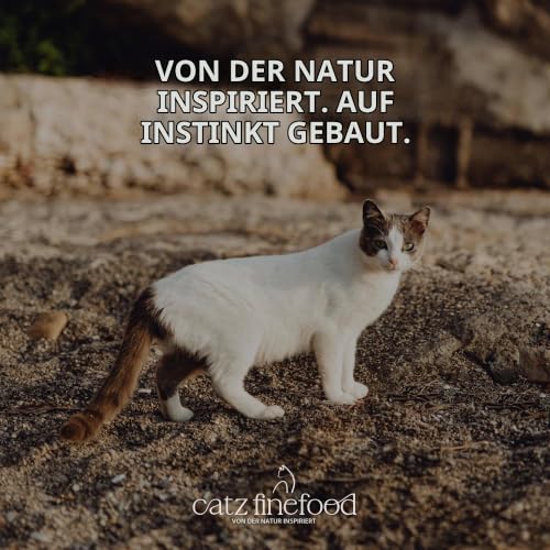 catz finefood Kitten N° 7 Rind und Kalb Katzenfutter nass - Feinkost Kitten Nassfutter für junge Katzen, 6 x 200 g