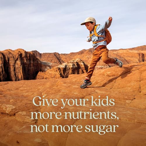 Image of New Chapter Kids Multivitamin Gummies - 65% Less Sugar, Kids Gummy Vitamins with Vitamins C, D3 & Zinc, Non-GMO, Gluten Free, Berry-Citrus, 60ct