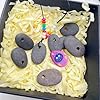 Lifetop 12PCS Drilled Flat River Rocks for Painting, Small & Tiny Craft Rocks for Painting, Plain Pebbles Art, River Rock Pendants,DIY Rocks #2