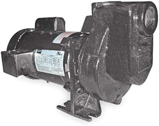 DAYTON 2ZXP7 Centrifugal Pump, 2 HP, 1 Ph, 115/208-230V