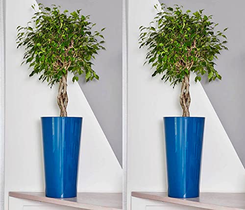 Euro3plast Tuit 2858.T4 2er Set Blumentöpfe mit Pflanzeinsatztopf 40 cm Ø rund x 73 cm hoch Farbe Petrol-Blau