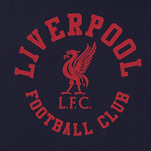 Liverpool Football Club Official Soccer Gift Boys Graphic Fleece Hoody2
