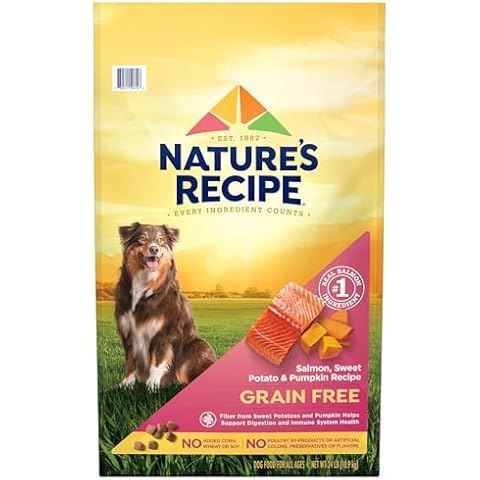 Nature’s Recipe Grain Free Salmon, Sweet Potato & Pumpkin Recipe Dry Dog Food, 24 lb. Bag Cover