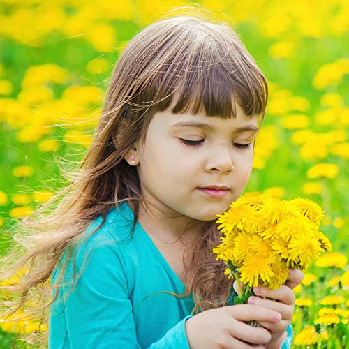 14k Yellow Gold Pink & White Enamel Cupcake Screw Backs for Young Girls-Preteens, Cute Stud Earrings for Young Girls- Small Cupcake Studs for Children, Lovely Little Cupcakes for Girls, Food Stud3