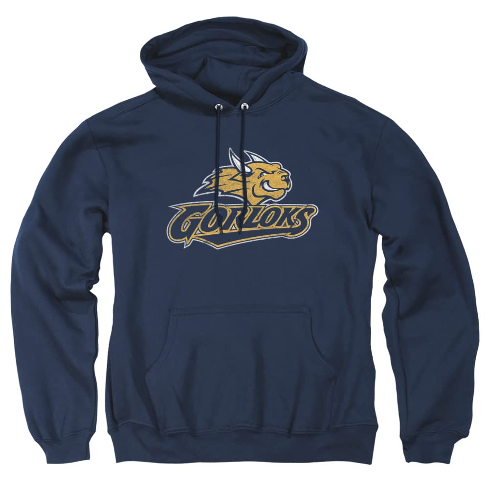 LOGOVISION Official Collegiate Distressed Primary Logo Adult Pullover Hoodie Collection — view 60