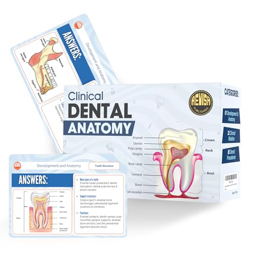 Revisa Dental Anatomy Flashcards – Exam-Ready Clinical Anatomy Flash Cards – Dental Exam Pocket Guide with Detailed Visuals and Diagrams – Portable Flashcards with Interactive Q&A