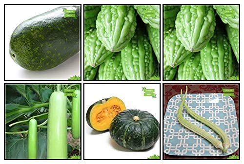 OhhSome Gardening Combo Vegetable Seeds : Ashgourd, Bhindi (Arka Anamika), Bittergourd, Bottlegourd, Pumpkin, Elephent Tusk Okra Seeds Vegetable Seeds For Gardening - Eco (B07XXR3P6R) Amazon Price History, Amazon Price Tracker