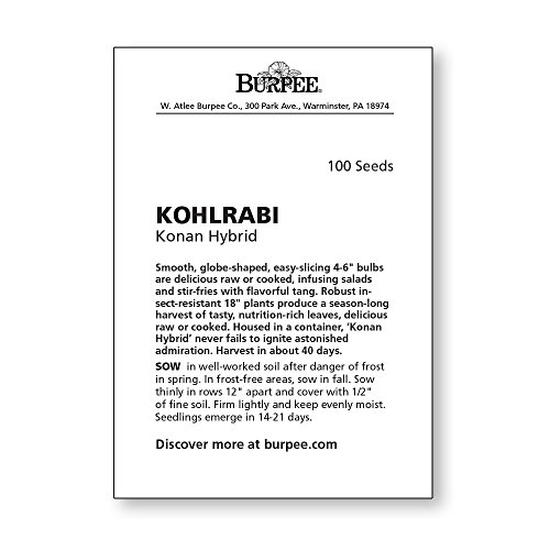Burpee Konan Hybrid Kohlrabi Seeds 100 Seeds #TOP3