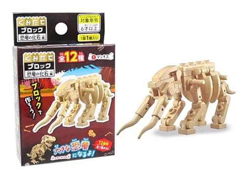 y12Zbg̔z݂ăubN gݗ RNV ii  q Ղ  h  D e  (̉Ε)