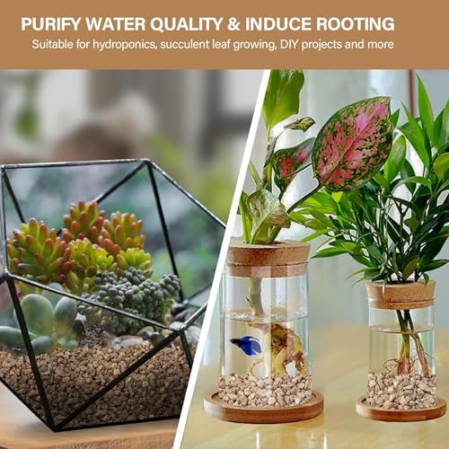 NUPICK 6lb Maifanitum Stones for Succulent, 1/8"-1/4" Golden Pea Gravel for Cactus, Small Pebbles for Indoor Plants Soil Covers, Decorative Rocks for Bonsai, Vases Fillers, Aquarium, Top Dressing - 4