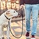 AiTodos® 1,5 m Starke Hundeleine, Anti-Zug-Hundeleine zum Training oder Gehen, Geeignet für Kleine, Mittlere und Große Hunde, Schwarz