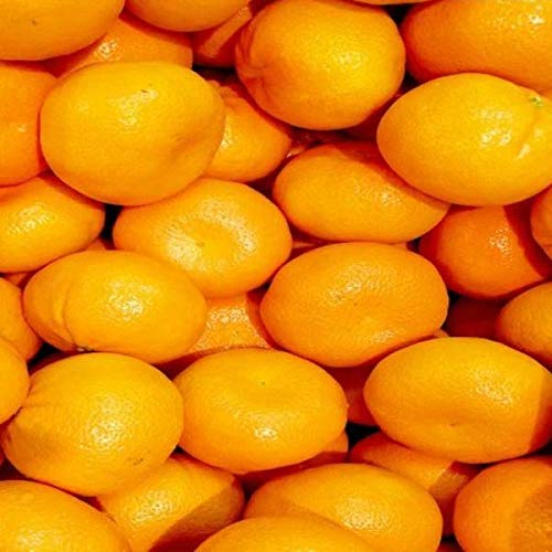 y{Yz󂠂@݂@L`2LTCY@10kg