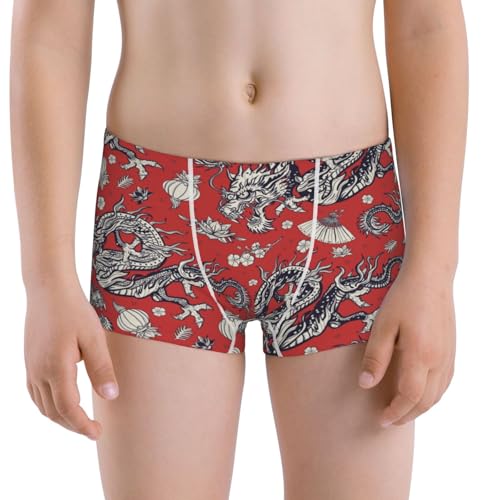 Boys' Cotton Boxer Brief Soft Underwear-Dragons
