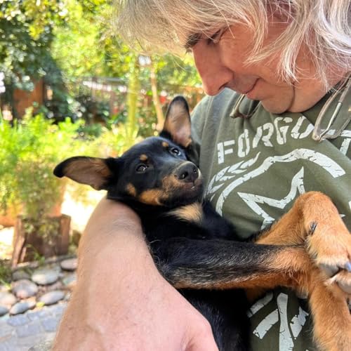 『"Suerte" busca una familia: y si la auyudamos?』のカバーアート