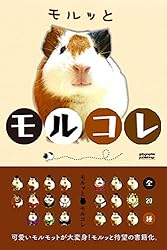 Amazon.co.jp: モルッとモルコレ！【読み聞かせ】: きせかえモルモット
