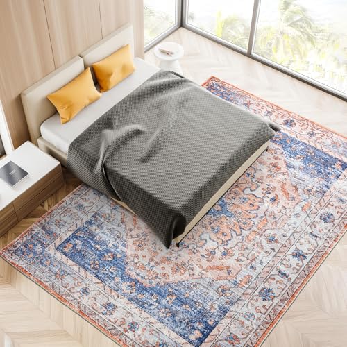 Blivonta Spill Proof 6x9 Rug