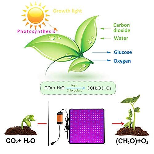 Roleadro LED Pflanzenlampe 40w Pflanzenlicht Pflanzenleuchte mit Timer 3H/6H/12H Heillgkeitsstufen 4Pcs Strip Wachsen licht Wachstumslampe IP65 Pflanzenlichter für Zimmerpflanzen Gartenarbeit 3 Roleadro LED Pflanzenlampe 40w Pflanzenlicht Pflanzenleuchte mit Timer 3H/6H/12H Heillgkeitsstufen 4Pcs Strip Wachsen licht Wachstumslampe IP65 Pflanzenlichter für Zimmerpflanzen Gartenarbeit – Bild 3