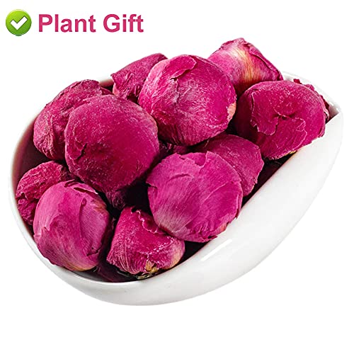 Flores secas naturales de Peonía Paeonia lactiflora 50g miniatura 4