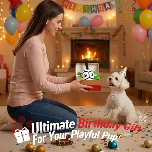 Image of QDAN Small Dog Toys, Outdoor Soccer Ball with Straps, Puppy Birthday Gifts | Interactive Training Soccer Toys for Tug, Dog Water Toy, Durable Puppy Balls for 5-20 lbs Small Dogs, Puppy Birthday Gifts