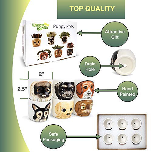 Window-Garden-Cat-Planter-Pot-6-Mini-Succulent-Kitty-Pots-Cute-Flower-Pots-for-Indoor-Plants-Cat-Decor-Vase-for-Cactus-Herb-Cat-Cat-Owner-Gifts-Unique-Gifts-Gift-Set-Cat-Gift Window Garden Cat Planter Pot 6 Mini Succulent Kitty Pots Cute Flower Pots for Indoor Plants Cat Decor Vase for Cactus Herb Cat Cat Owner Gifts Unique Gifts Gift Set Cat Gift