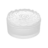 Crystal Dahlia Clear Gift Box No. 2 1135500