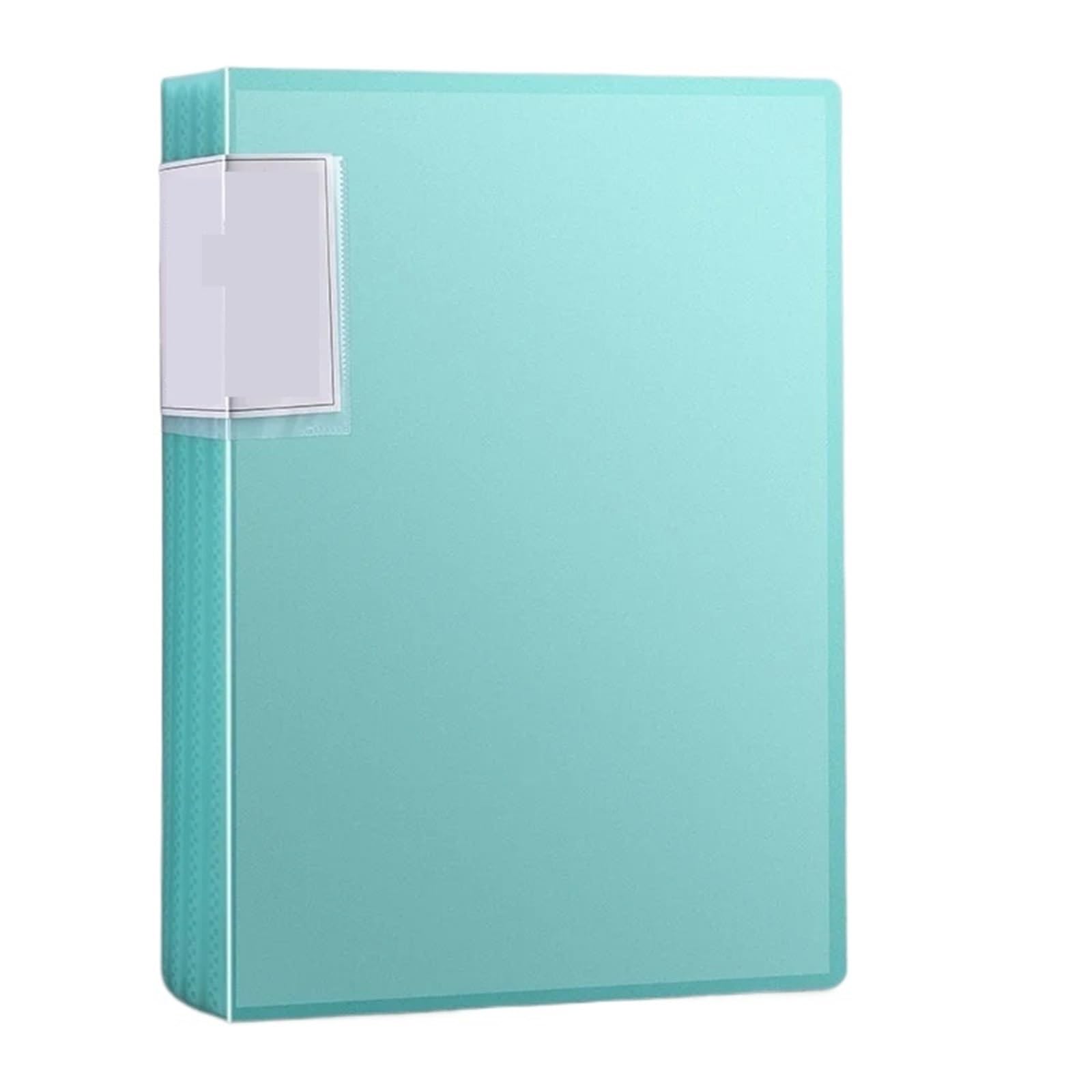2PCS A4 Raccoglitore di bilancio in plastica Cartelle file Documenti Libretto Opuscolo 100 pagine Forniture for ufficio Organizzatore da scrivania per Casa, Ufficio(Green)