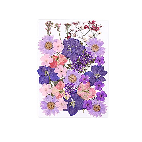 Flores secas para resina DIY 1 bolsa para manualidades miniatura 1